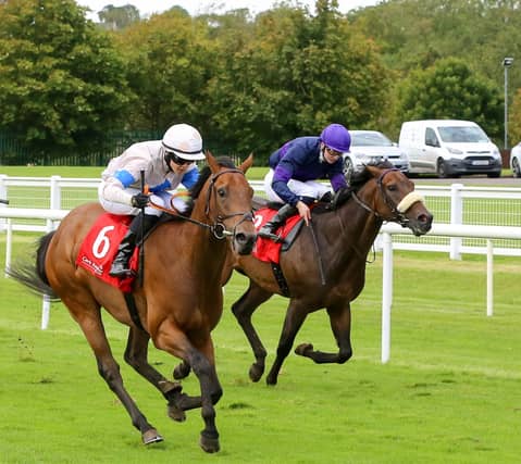 Dylan Browne McMonagle wins on the Austin Leahy-trained Principalship at Cork Photo: Alain Barr/Racing Post