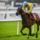 Royal Canford, with Ballingarry jockey Billy Lee up, on their way to winning the Galmont.com & Galwaybayhotel.com Handicap at the Galway Festival