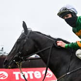 Winning jockey Mark Walsh celebrates after partnering the JP McManus-owned Early Doors to victory in Wednesday night's Tote Galway Plate at Ballybrit
