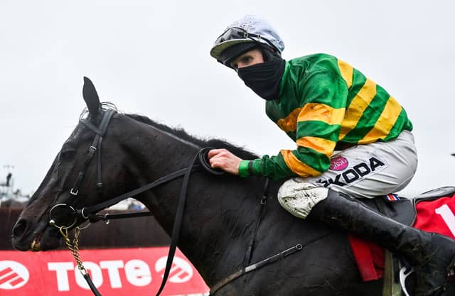 Winning jockey Mark Walsh celebrates after partnering the JP McManus-owned Early Doors to victory in Wednesday night's Tote Galway Plate at Ballybrit