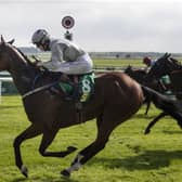 Abbeyfeale jockey Paddy Harnett gets the Denis Hogan-trained Bahlwan home a cosy winner at the Curragh on Sunday Photo: Patrick McCann/Racing Post