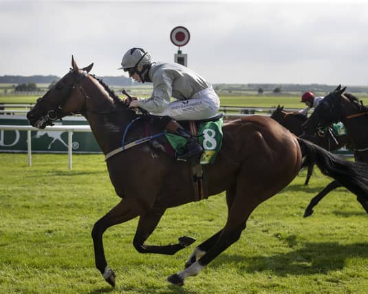 Abbeyfeale jockey Paddy Harnett gets the Denis Hogan-trained Bahlwan home a cosy winner at the Curragh on Sunday Photo: Patrick McCann/Racing Post