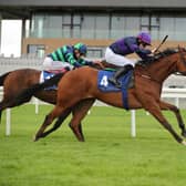 Rough Diamond and Castlemahon, Co Limerick jockey Mark Enright win The Mick O’Shea Heating And Plumbing Maiden at the Curragh Picture: carolinenorris.ie