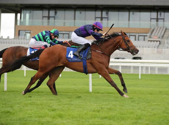 Rough Diamond and Castlemahon, Co Limerick jockey Mark Enright win The Mick O’Shea Heating And Plumbing Maiden at the Curragh Picture: carolinenorris.ie
