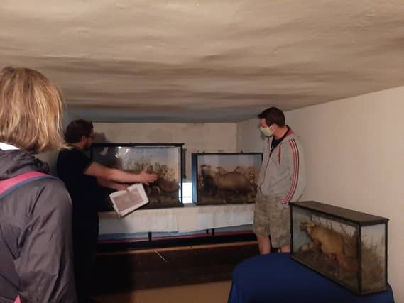 Some of the Get Stuffed exhibition deep in the basement of the People's Museum
