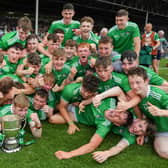 Limerick, 2019 Munster MHC winners