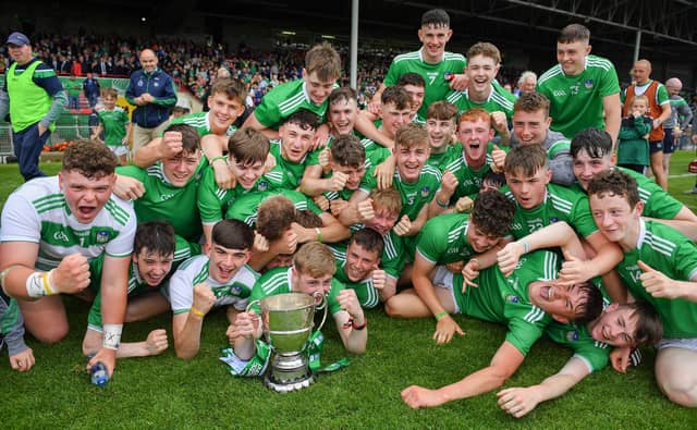 Limerick, 2019 Munster MHC winners