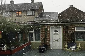 PICTURE THIS: Is it spring yet? Michael Sheehan snapped a recent snow shower