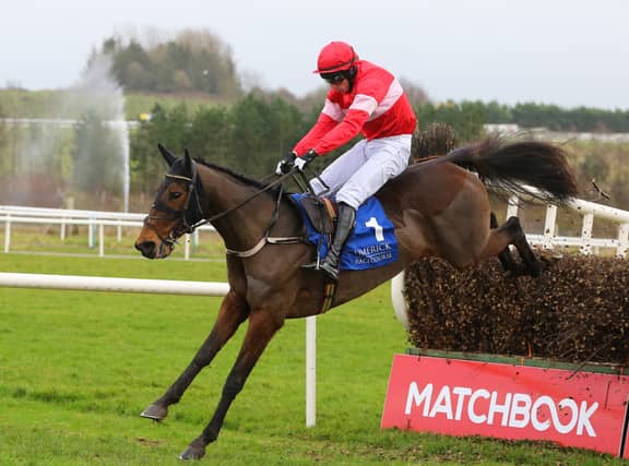 Cut The Mustard with Mikey Fogarty on board jumping the last to win the Limerick Vets Beginners Chase at Limerick Racecourse on Sunday