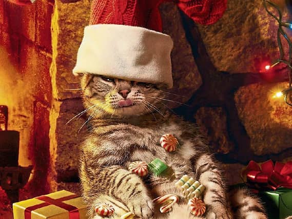 Christmas doesn't have to be the season of overindulgence