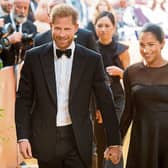 Royals Harry and Meghan have come under fire for their use of a private jet - even  after their very public environmental campaigns