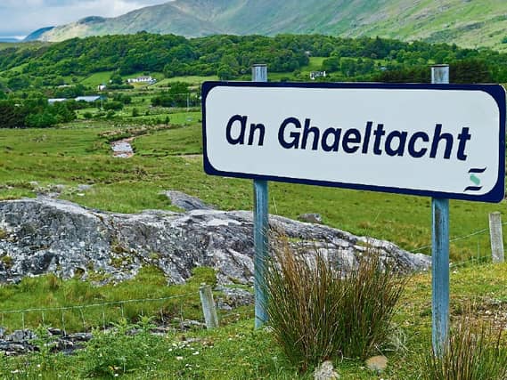 Patricia claims the Irish language belongs to something far greater than our insular national soul...it is a national treasure for decades