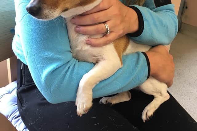 “I was just putting a rhubarb tart into the oven when I got a text. The gardai and the ISPCA swooped on a house in an estate in Cork this morning. They took the dog, scanned her and it was Tiny,” said Mary, who somehow managed not to drop the tart in the excitement. It is understood it is all thanks to a kindhearted member of the public who had recognised Tiny.