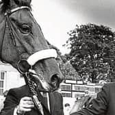 Bing Crosby at the Curragh in 1965