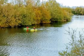 PICTURE THIS! Rolling on the river: Cruising on the Shannon by Noel Kelly