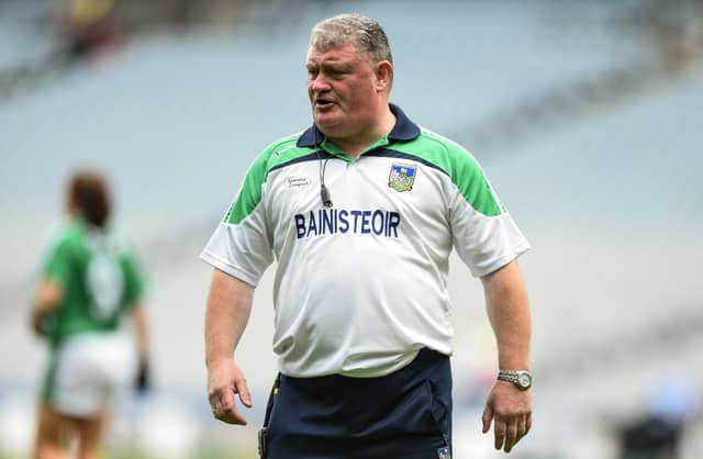 Limerick ladies football manager John Ryan