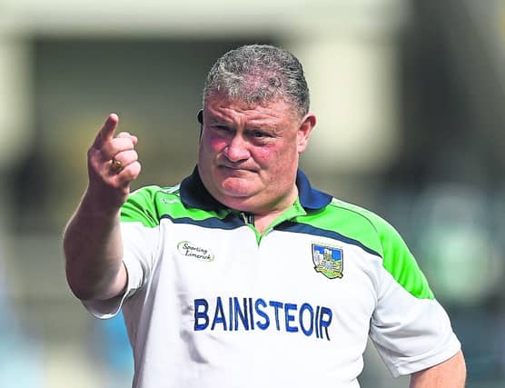 Limerick ladies football manager John Ryan