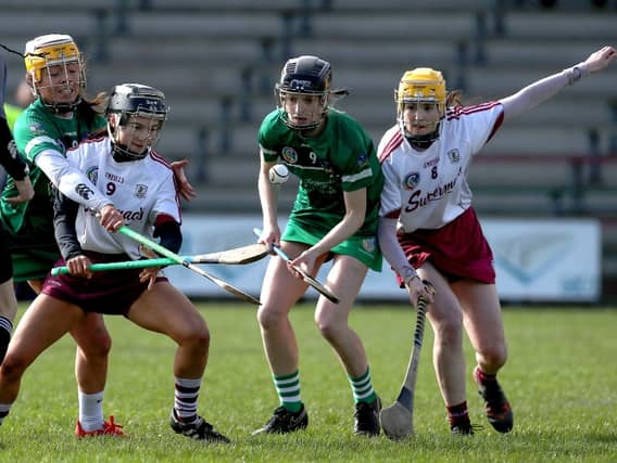 Niamh Mulcahy and Karen O'Leary battle for Limerick possession in Birr