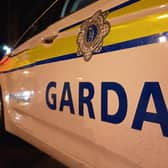The female driver, 19, was fatally injured when the car she was driving collided with a tree