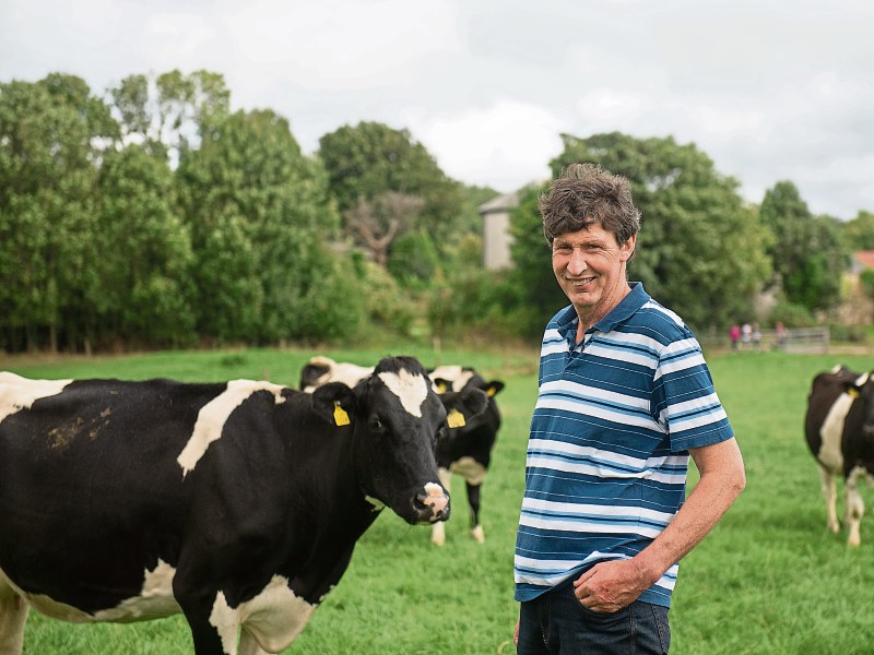 John O’Shaughnessy at home in Ballynolan, Kildimo with some of his herd