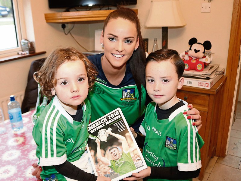 Limerick History Makers: Leader hurling book captures euphoria of ...