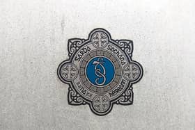Gardai say a file will be prepared for the Director of Public Prosecutions