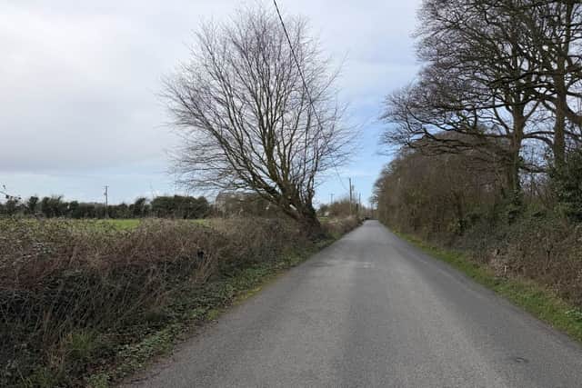 He said the plot of land has a lot in its favour - proximity to Adare and the Ryder Cup, close to the motorway, next to the new centre of excellence and has road frontage (pictured below).