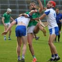 Action from the Limerick v Waterford U20 game | PICTURE: Brendan Gleeson