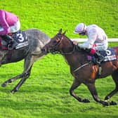 The Galway Races continue into Day 5