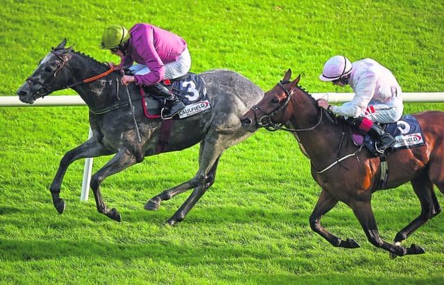 The Galway Races continue into Day 5
