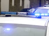 Gardai are investigating a burglary during which the culprit used a step ladder to gain entry
