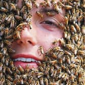 The birds and the bees: If it wasn't one wildlife problem for Patricia it is another