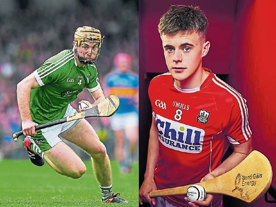 You can’t bate breeding: First cousins, Richie English and Darragh Fitzgibbon are a credit to their counties, clubs and families Pictures: Sportsfile