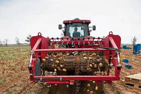 The first of the new potatoes do not mark a milestone for most of us anymore