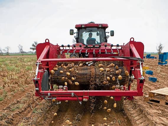 The first of the new potatoes do not mark a milestone for most of us anymore