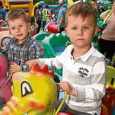 Brothers in fun, Kai and Max Siberman from Newcastle West enjoying last year’s Rathfredagh Garden Fete Picture: Dave Gaynor