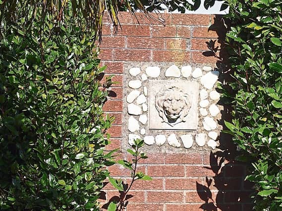 A small water features from Phyl's garden