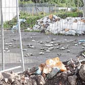The An Taisce inspectors were severely critical of the Galvone Industrial Estate, and alleged illegal dumping at the back of the park