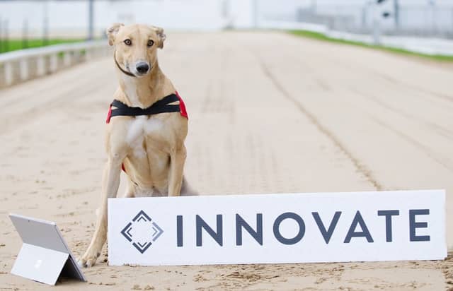 Limerick Greyhound stadium set for digital upgrade