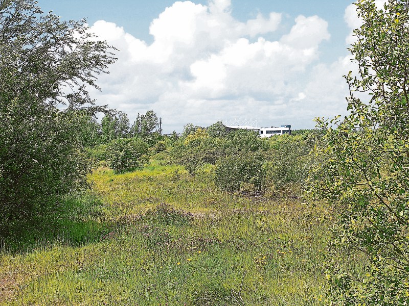 Michael Ryan is critical of An Bord Pleanala's refusal for plans for the land bank at Greenpark once again