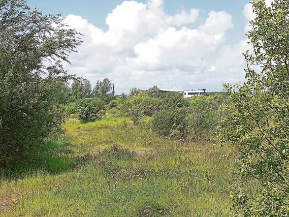 Michael Ryan is critical of An Bord Pleanala's refusal for plans for the land bank at Greenpark once again