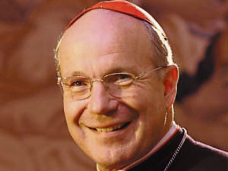 Cardinal Schönborn: To attend a major conference in Limerick