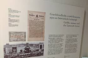 Cian Prendiville is disappointed with the display in newly relocated Limerick Museum