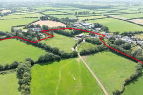 A section of the 220 acre farm of land in Gortmore, Feenagh