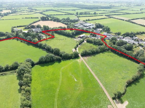 A section of the 220 acre farm of land in Gortmore, Feenagh