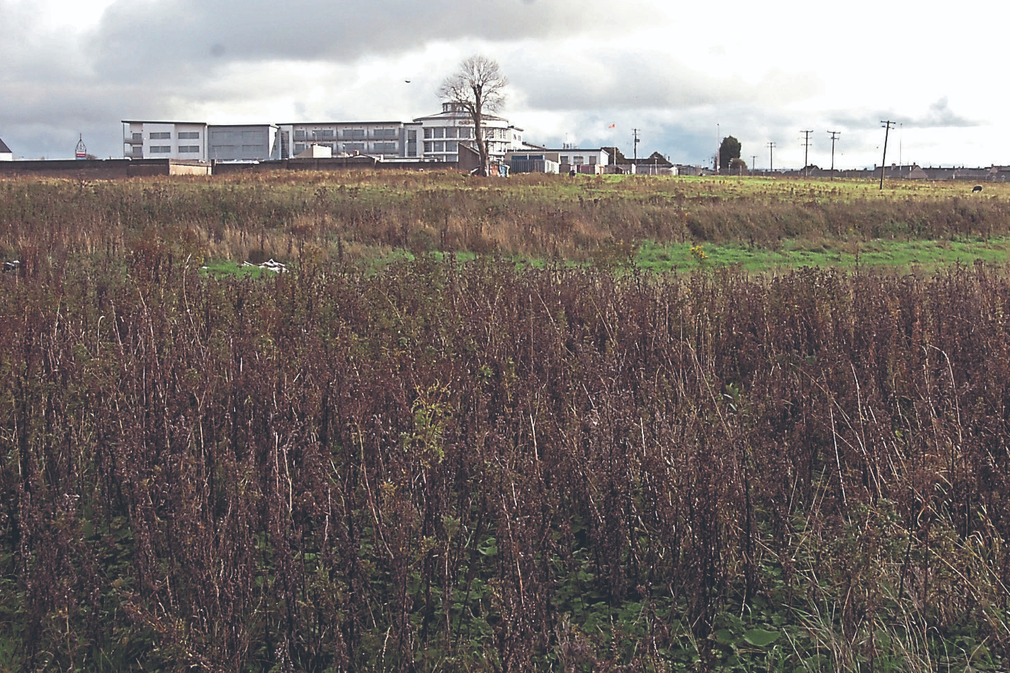 Limerick travellers criticise planning in relation to housing ...
