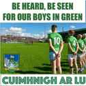 Limerick GAA has a new initiative to get behind John Kiely's boys in green