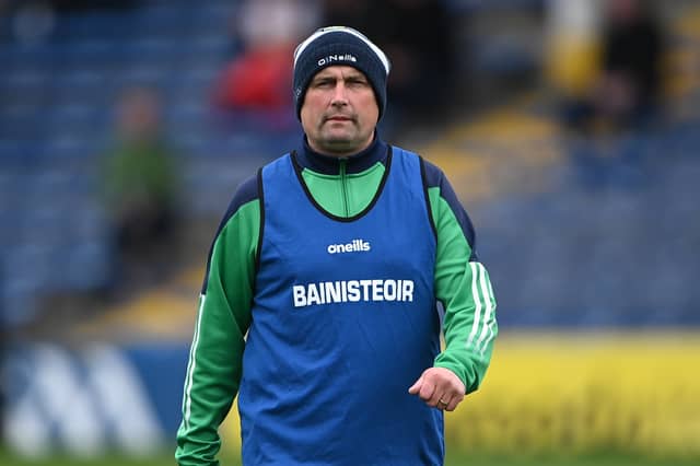 Limerick minor hurling manager Diarmuid Mullins