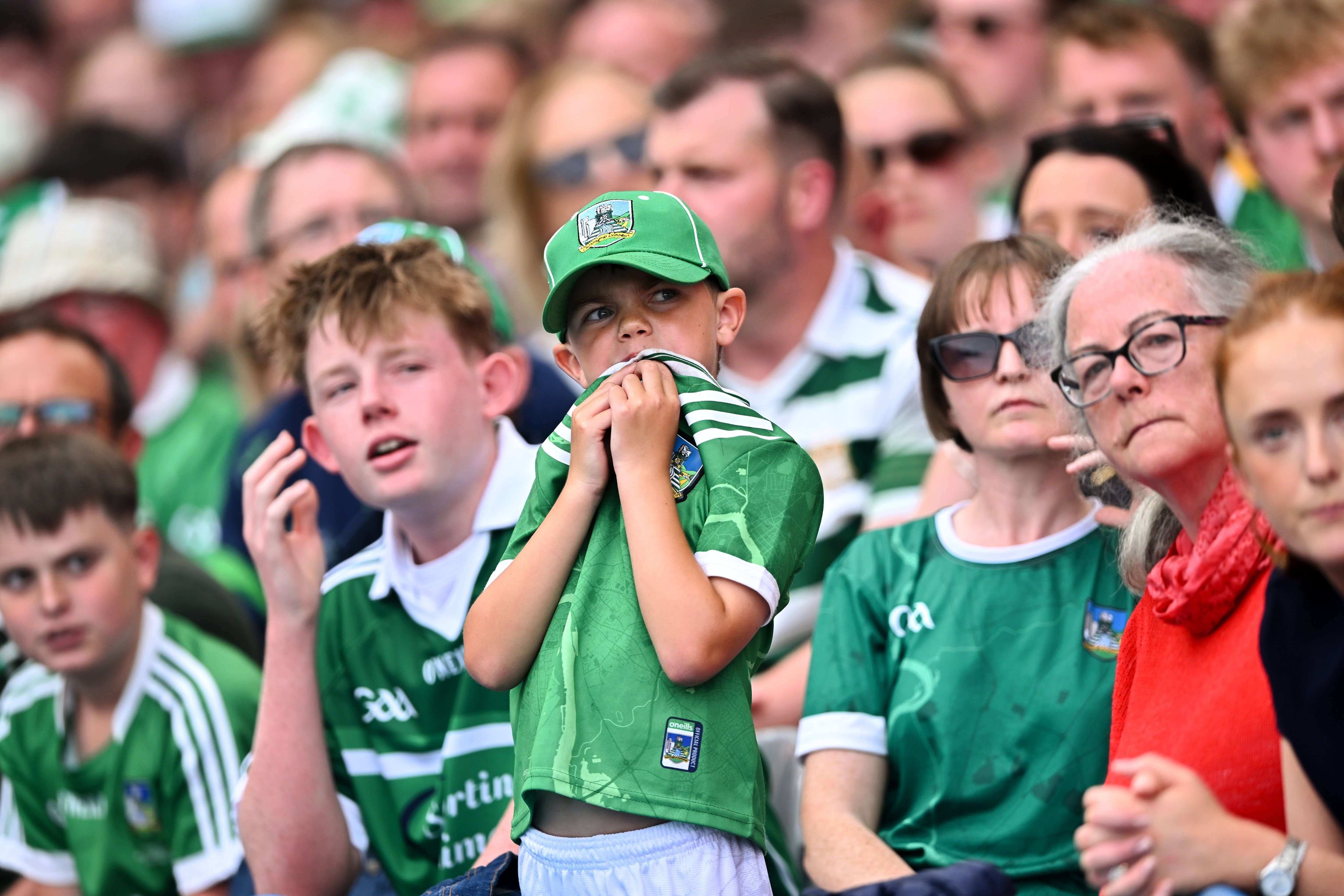 The dream of another magic summer Sunday lives on for Limerick hurling fans
