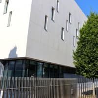 Limerick man accused of stealing 10 cars and having them 'flattened' says he was 'following instructions'